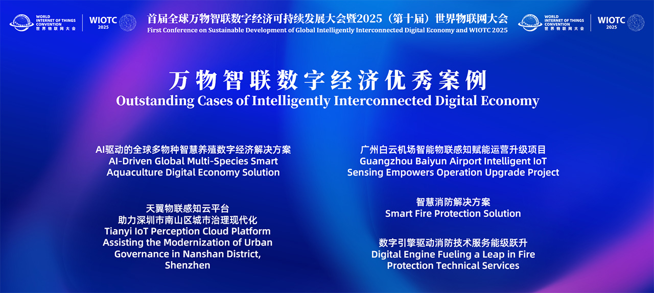 Outstanding Cases of Intelligently Interconnected Digital Economy (2025)